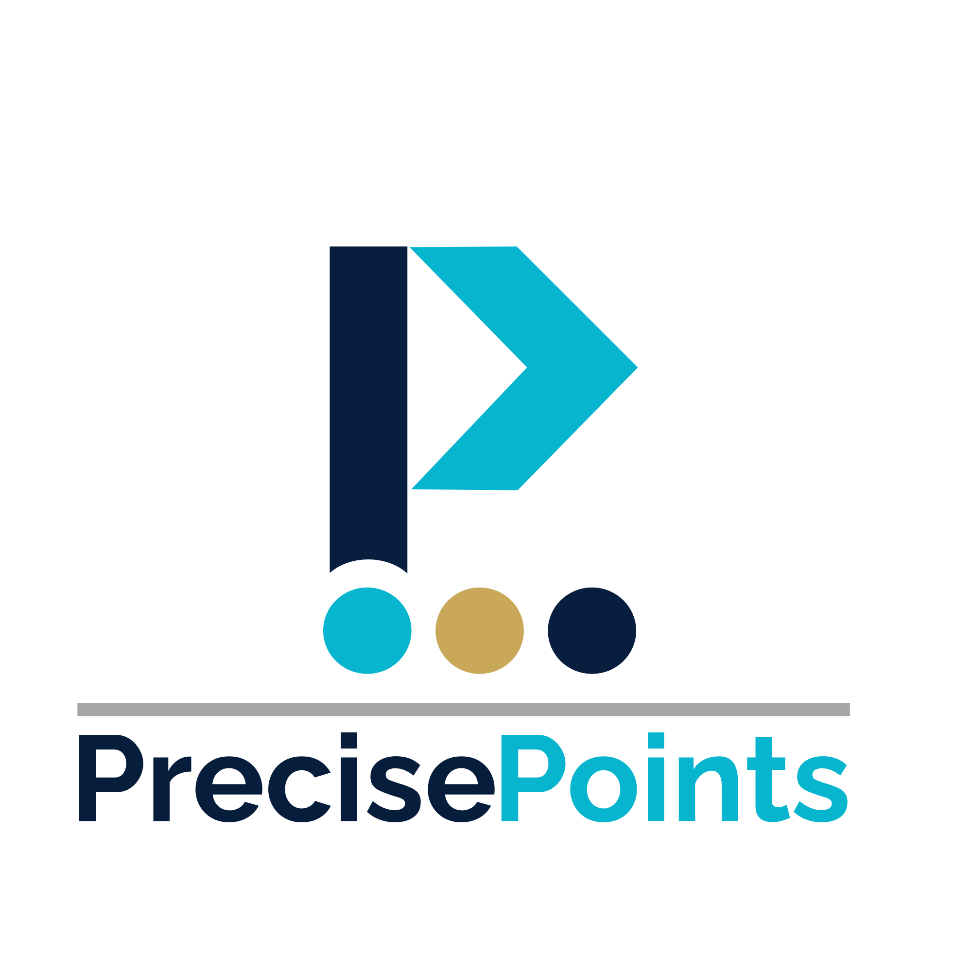 PrecisePoints Solutions